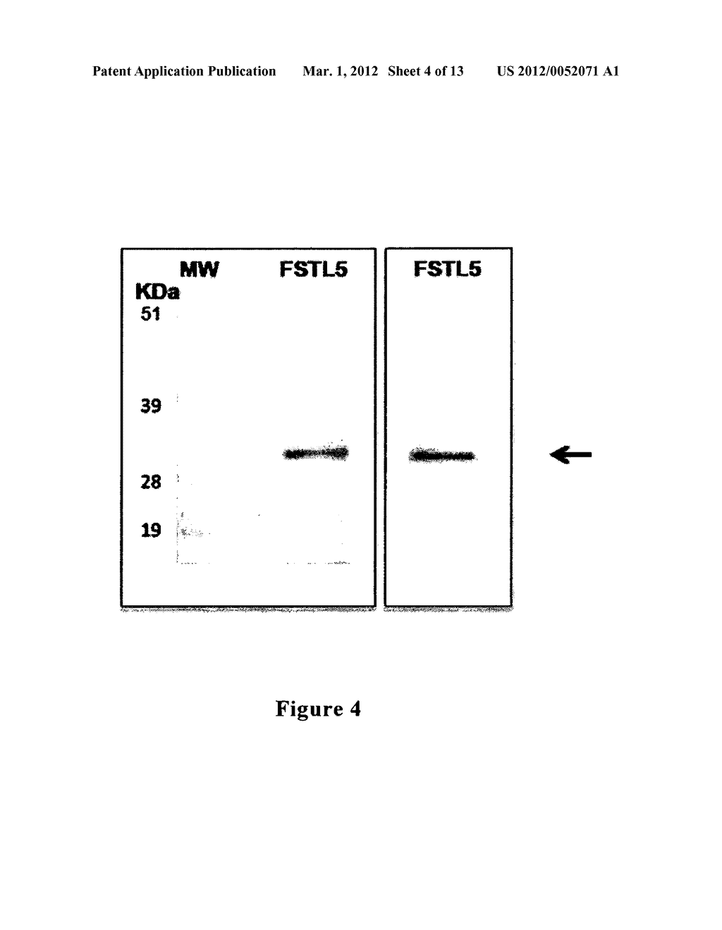 TUMOR MARKERS AND METHODS OF USE THEREOF - diagram, schematic, and image 05