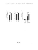 MODULATION OF THE VPS10P-DOMAIN RECEPTOR FAMILY FOR THE TREATMENT OF     MENTAL AND BEHAVIOURAL DISORDERS diagram and image