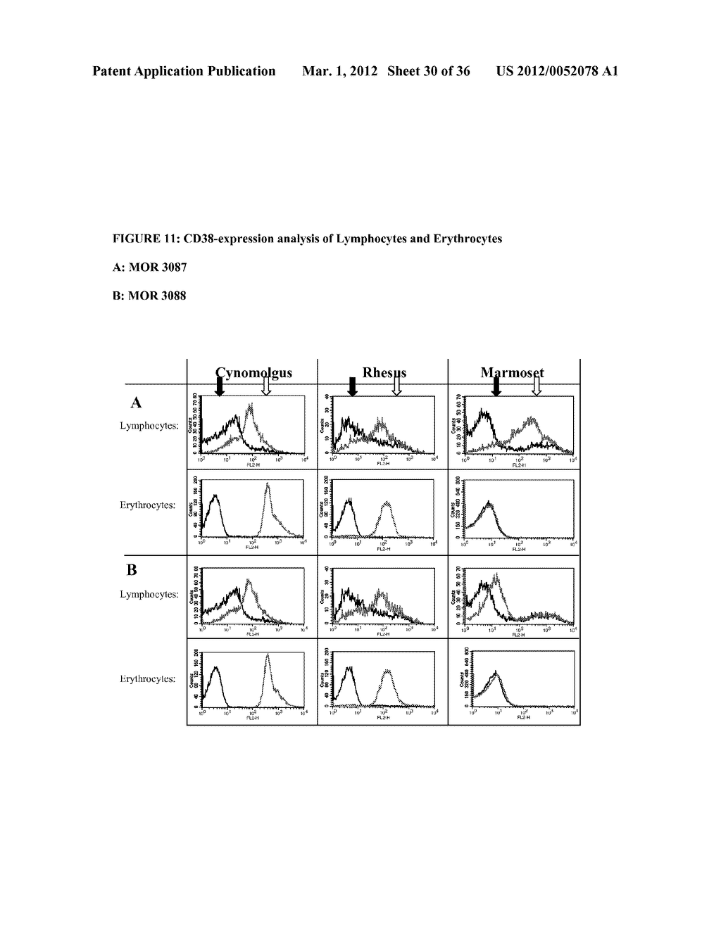 GENERATION AND PROFILING OF FULLY HUMAN HUCAL GOLD-DERIVED THERAPEUTIC     ANTIBODIES SPECIFIC FOR HUMAN CD38 - diagram, schematic, and image 31