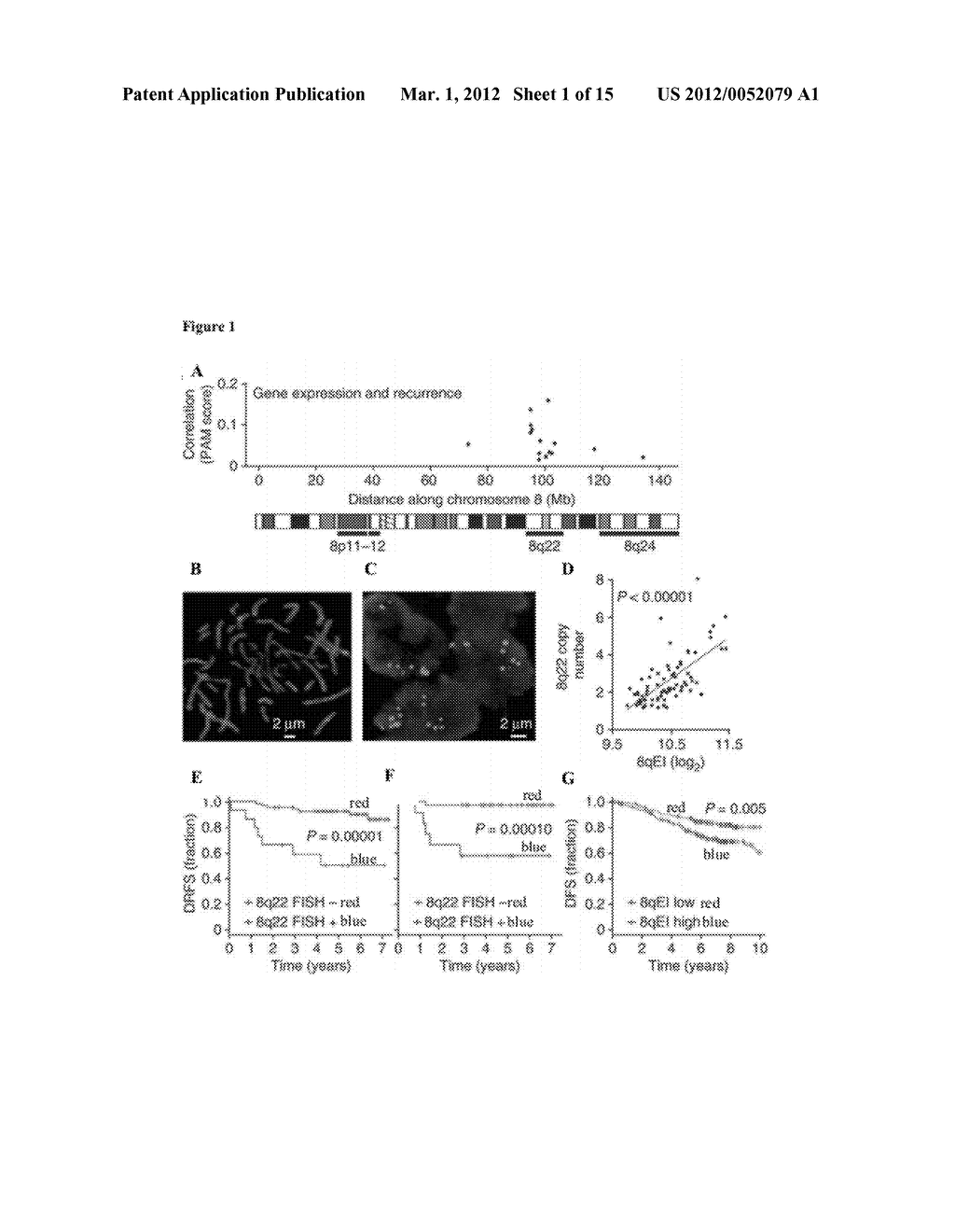 Compositions, Kits, and Methods for Predicting Anti-Cancer Response to     Anthracyclines - diagram, schematic, and image 02