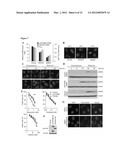 Compositions, Kits, and Methods for Predicting Anti-Cancer Response to     Anthracyclines diagram and image