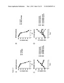 Compositions, Kits, and Methods for Predicting Anti-Cancer Response to     Anthracyclines diagram and image