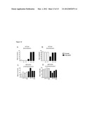 Compositions, Kits, and Methods for Predicting Anti-Cancer Response to     Anthracyclines diagram and image