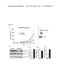 Compositions, Kits, and Methods for Predicting Anti-Cancer Response to     Anthracyclines diagram and image