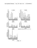 INTERLEUKIN-13 RECEPTOR ALPHA 2 PEPTIDE-BASED BRAIN CANCER VACCINES diagram and image