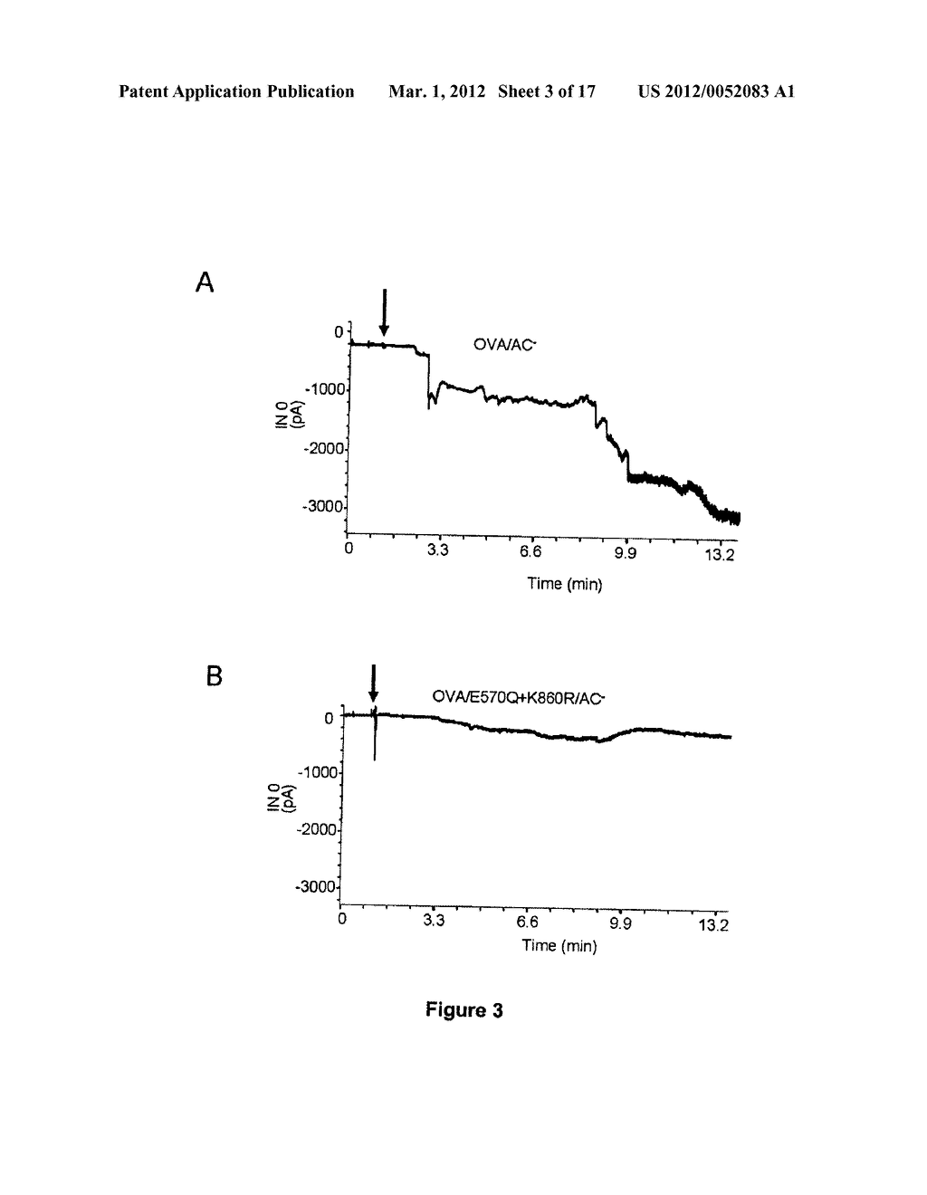 MUTANT CyaA POLYPEPTIDES AND POLYPEPTIDE DERIVATIVES SUITABLE FOR THE     DELIVERY OF IMMUNOGENIC MOLECULES INTO A CELL - diagram, schematic, and image 04