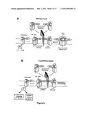 MUTANT CyaA POLYPEPTIDES AND POLYPEPTIDE DERIVATIVES SUITABLE FOR THE     DELIVERY OF IMMUNOGENIC MOLECULES INTO A CELL diagram and image