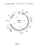 MUTANT CyaA POLYPEPTIDES AND POLYPEPTIDE DERIVATIVES SUITABLE FOR THE     DELIVERY OF IMMUNOGENIC MOLECULES INTO A CELL diagram and image