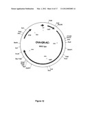 MUTANT CyaA POLYPEPTIDES AND POLYPEPTIDE DERIVATIVES SUITABLE FOR THE     DELIVERY OF IMMUNOGENIC MOLECULES INTO A CELL diagram and image