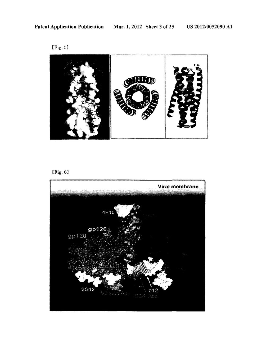 PEPTIDIC ANTIGEN THAT INDUCES ANTIBODY RECOGNIZING THREE-DIMENSIONAL     STRUCTURE OF HIV AND METHOD FOR SYNTHESIZING SAME - diagram, schematic, and image 04