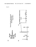 PEPTIDIC ANTIGEN THAT INDUCES ANTIBODY RECOGNIZING THREE-DIMENSIONAL     STRUCTURE OF HIV AND METHOD FOR SYNTHESIZING SAME diagram and image