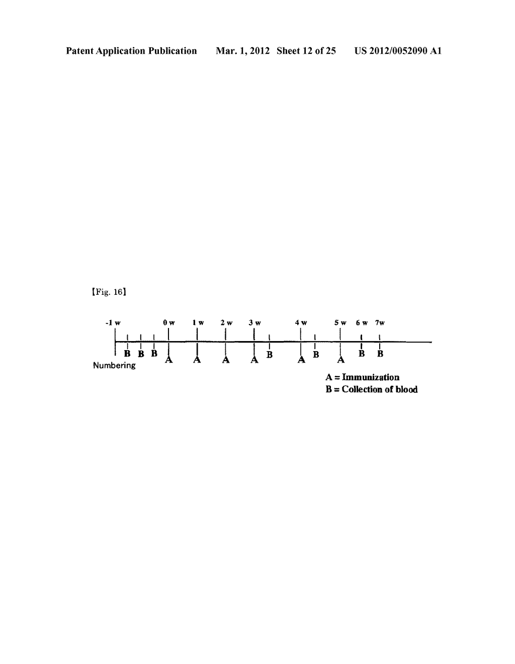 PEPTIDIC ANTIGEN THAT INDUCES ANTIBODY RECOGNIZING THREE-DIMENSIONAL     STRUCTURE OF HIV AND METHOD FOR SYNTHESIZING SAME - diagram, schematic, and image 13