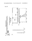 PEPTIDIC ANTIGEN THAT INDUCES ANTIBODY RECOGNIZING THREE-DIMENSIONAL     STRUCTURE OF HIV AND METHOD FOR SYNTHESIZING SAME diagram and image