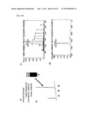 PEPTIDIC ANTIGEN THAT INDUCES ANTIBODY RECOGNIZING THREE-DIMENSIONAL     STRUCTURE OF HIV AND METHOD FOR SYNTHESIZING SAME diagram and image