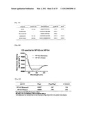 PEPTIDIC ANTIGEN THAT INDUCES ANTIBODY RECOGNIZING THREE-DIMENSIONAL     STRUCTURE OF HIV AND METHOD FOR SYNTHESIZING SAME diagram and image