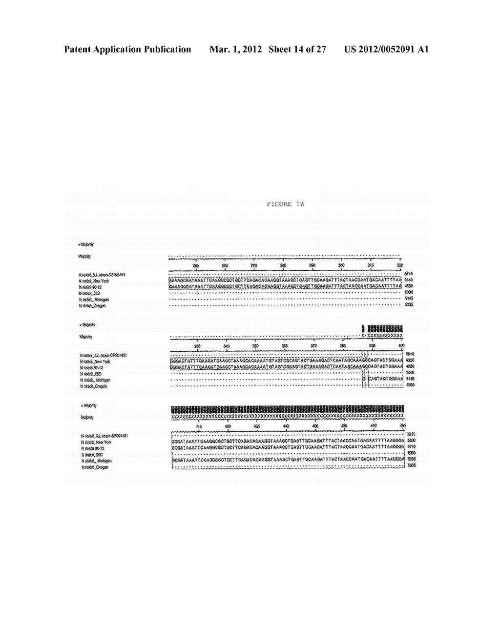 POTOMAC HORSE FEVER ISOLATES - diagram, schematic, and image 15