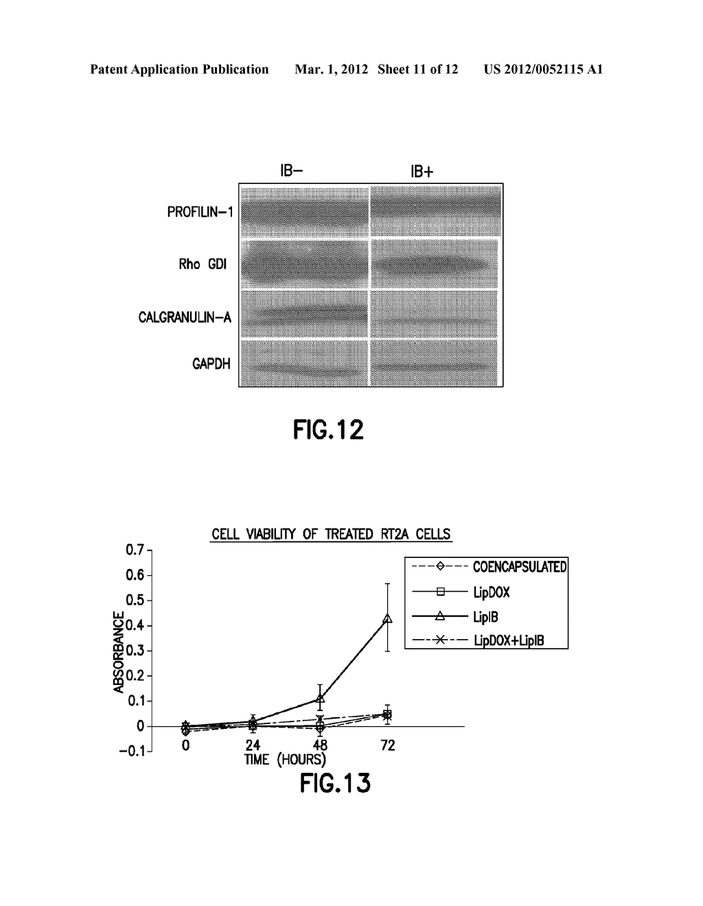 NANOCARRIER THERAPY FOR TREATING INVASIVE TUMORS - diagram, schematic, and image 12