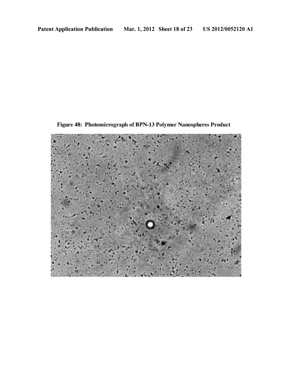 NANOTECHNOLOGY FORMULATION OF POORLY SOLUBLE COMPOUNDS - diagram, schematic, and image 19