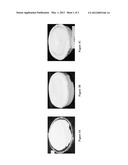 DAIRY PRODUCT AND PROCESS diagram and image