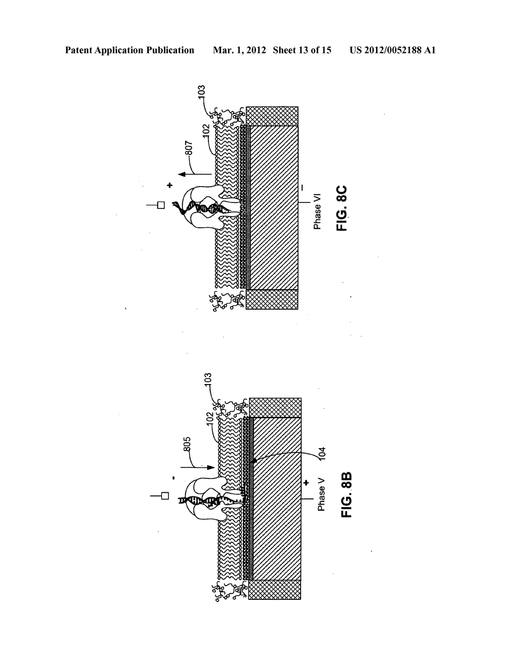 Systems and methods for assembling a lipid bilayer on a substantially     planar solid surface - diagram, schematic, and image 14