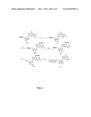 METHODS AND COMPOSITIONS FOR SEQUENCING NUCLEIC ACIDS USING CHARGE diagram and image