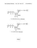 METHODS AND COMPOSITIONS FOR SEQUENCING NUCLEIC ACIDS USING CHARGE diagram and image