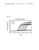 OLIGONUCLEOTIDES FOR DETECTING E. coli O157:H7 STRAINS AND USE THEREOF diagram and image