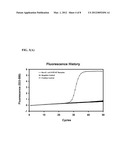 OLIGONUCLEOTIDES FOR DETECTING E. coli O157:H7 STRAINS AND USE THEREOF diagram and image