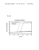 OLIGONUCLEOTIDES FOR DETECTING E. coli O157:H7 STRAINS AND USE THEREOF diagram and image