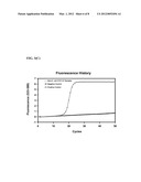 OLIGONUCLEOTIDES FOR DETECTING E. coli O157:H7 STRAINS AND USE THEREOF diagram and image