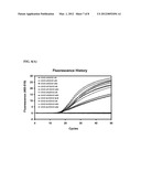 OLIGONUCLEOTIDES FOR DETECTING E. coli O157:H7 STRAINS AND USE THEREOF diagram and image