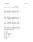 OLIGONUCLEOTIDES FOR DETECTING E. coli O157:H7 STRAINS AND USE THEREOF diagram and image