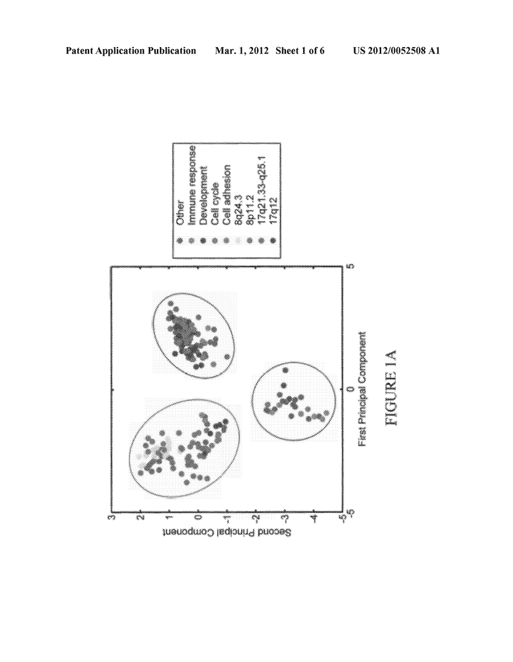 GENETIC MARKERS AND DIAGNOSTIC METHODS FOR RESISTANCE OF BREAST CANCER TO     HORMONAL THERAPIES - diagram, schematic, and image 02