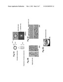 DEVICES AND METHODS FOR OBSERVING THE CELL DIVISION diagram and image