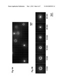 DEVICES AND METHODS FOR OBSERVING THE CELL DIVISION diagram and image