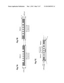 DEVICES AND METHODS FOR OBSERVING THE CELL DIVISION diagram and image