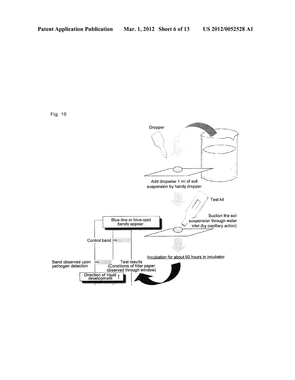 METHOD FOR PRODUCING SELECTIVE MEDIUM AND USE THEREOF - diagram, schematic, and image 07