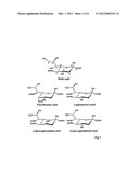 BIOSYNTHESIS OF CMP-LEGIONAMINIC ACID FROM FRUCTOSE-6-P, AND RESPECTIVE     PATHWAY INTERMEDIATES, USING NOVEL GDP-LINKED PRECURSORS diagram and image