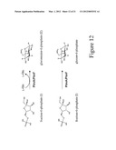 BIOSYNTHESIS OF CMP-LEGIONAMINIC ACID FROM FRUCTOSE-6-P, AND RESPECTIVE     PATHWAY INTERMEDIATES, USING NOVEL GDP-LINKED PRECURSORS diagram and image