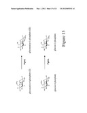 BIOSYNTHESIS OF CMP-LEGIONAMINIC ACID FROM FRUCTOSE-6-P, AND RESPECTIVE     PATHWAY INTERMEDIATES, USING NOVEL GDP-LINKED PRECURSORS diagram and image