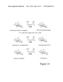 BIOSYNTHESIS OF CMP-LEGIONAMINIC ACID FROM FRUCTOSE-6-P, AND RESPECTIVE     PATHWAY INTERMEDIATES, USING NOVEL GDP-LINKED PRECURSORS diagram and image