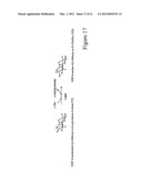 BIOSYNTHESIS OF CMP-LEGIONAMINIC ACID FROM FRUCTOSE-6-P, AND RESPECTIVE     PATHWAY INTERMEDIATES, USING NOVEL GDP-LINKED PRECURSORS diagram and image