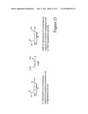 BIOSYNTHESIS OF CMP-LEGIONAMINIC ACID FROM FRUCTOSE-6-P, AND RESPECTIVE     PATHWAY INTERMEDIATES, USING NOVEL GDP-LINKED PRECURSORS diagram and image