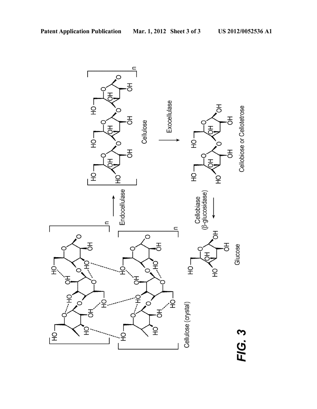 PROCESSING BIOMASS - diagram, schematic, and image 04