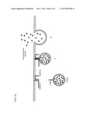 Modified Clostridial Toxins with Altered Targeting Capabilities For     Clostridial Toxin Target Cells diagram and image