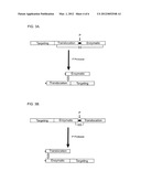 Modified Clostridial Toxins with Altered Targeting Capabilities For     Clostridial Toxin Target Cells diagram and image