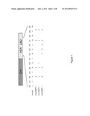 METHOD FOR TEMPORALLY CONTROLLING THE BIOLOGICAL ACTIVITY OF PROTEINS IN     VERTEBRATES, AND APPLICATIONS THEREOF diagram and image