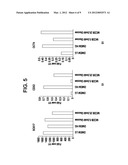 Differentiation of Human Embryonic Stem Cells diagram and image