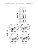 Differentiation of Human Embryonic Stem Cells diagram and image