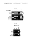 NOVEL NUCLEAR REPROGRAMMING SUBSTANCE diagram and image